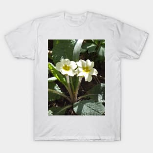Yellow Primrose Flower T-Shirt